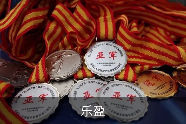 乐盈公司简介