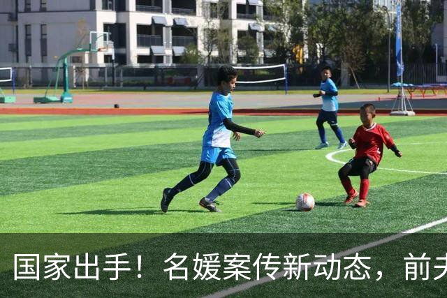 国家出手！名媛案传新动态，前夫一家近况被揭，如今后悔已来不及